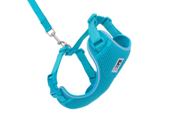 RC Pets Adventure Kitty Harness for Cats in Teal on Sale